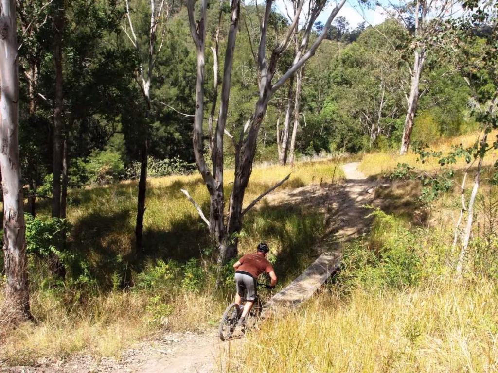Camping Blog and News