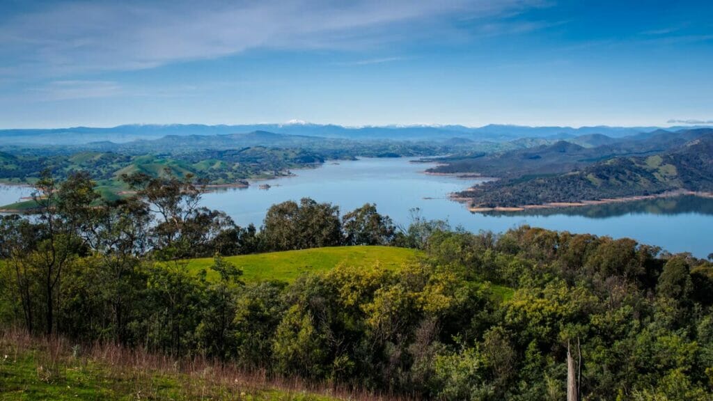 Tassie Devil - Lake Eildon 4 Pack